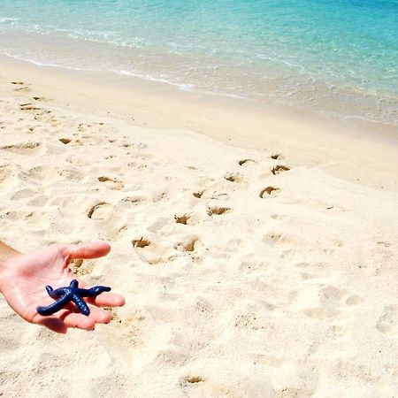 Taufua Beach Fales Lalomanu エクステリア 写真