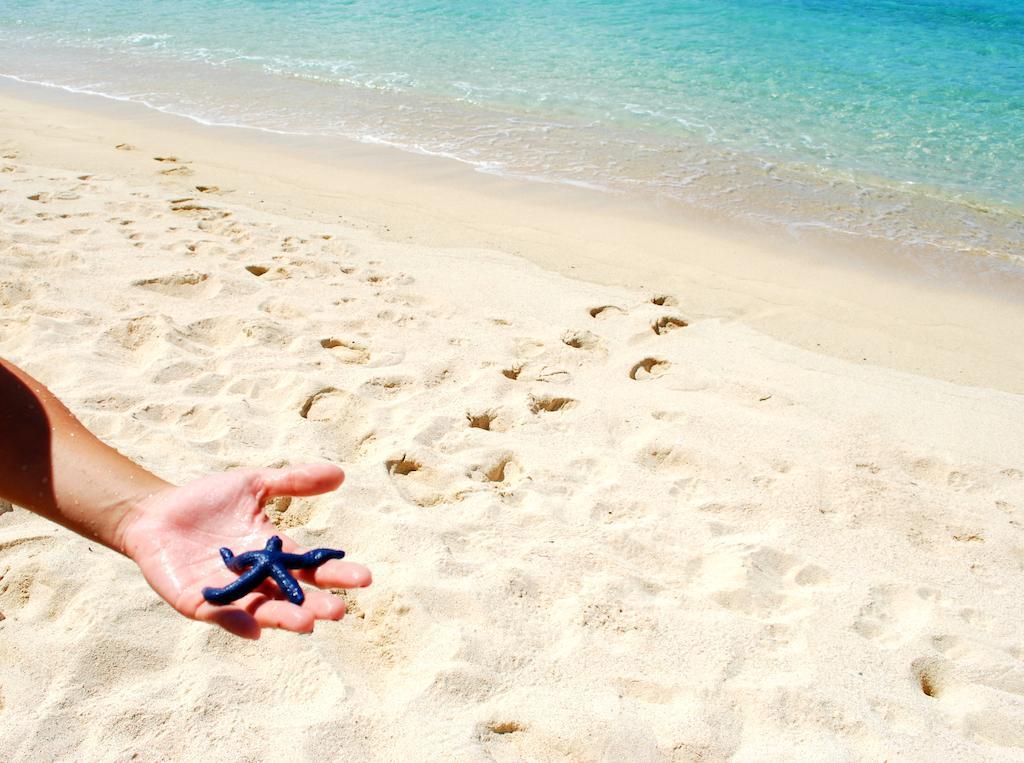Taufua Beach Fales Lalomanu エクステリア 写真